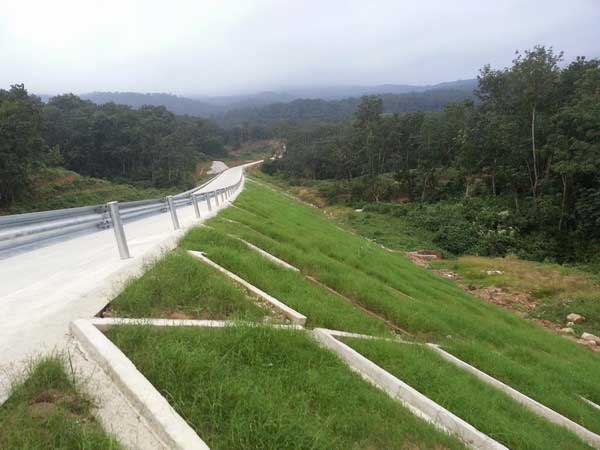 護坡植物高鐵鐵路植草護坡工程圖片