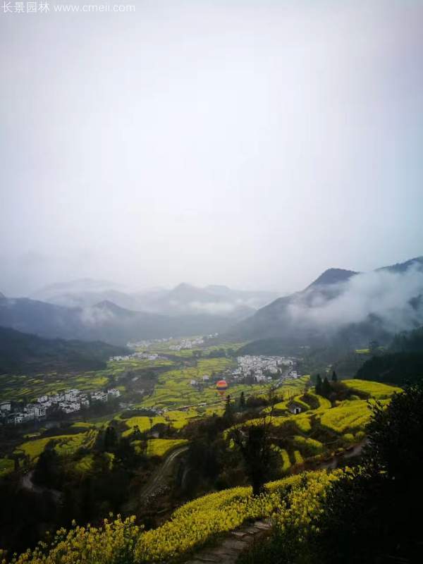 黃色花海油菜花田景觀鄉(xiāng)村旅游